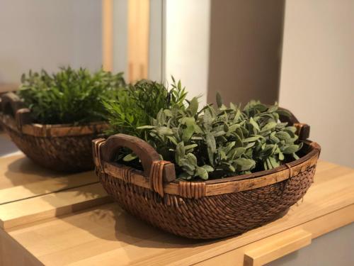 two baskets with plants in them sitting on a table at Apartamentos Ribera Navarra - Bardenas in Castejón