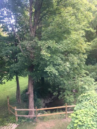 a tree in a garden with a fence at Glass Magnolia Bed & Breakfast in Interlaken