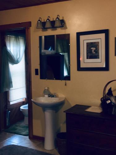 a bathroom with a sink and a mirror and a toilet at Glass Magnolia Bed & Breakfast in Interlaken