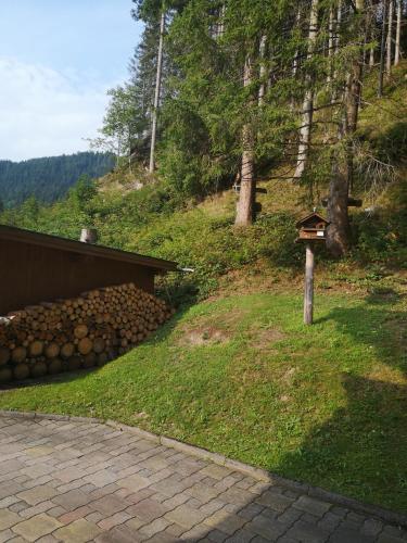 Gallery image of Haus Alpenheim in Flachau