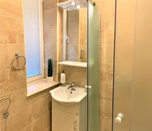 a bathroom with a sink and a shower with a mirror at Cicki Apartments II in Podgorica