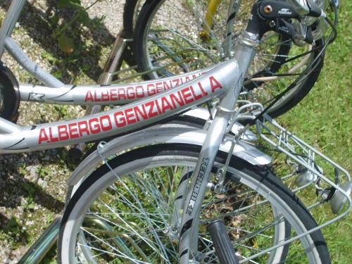 two bikes parked next to each other at Hotel Genzianella in Presenaio