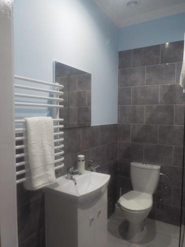 een badkamer met een toilet en een wastafel bij Zakątek Warmiński in Płoskinie