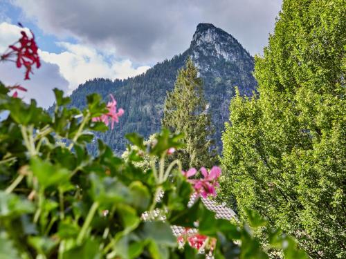 a view of a mountain with flowers in the foreground at AKZENT Hotel Turmwirt ***S in Oberammergau