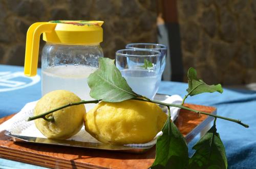 a plate of lemons on a table with a glass of water at Villa La Zagara in Minori