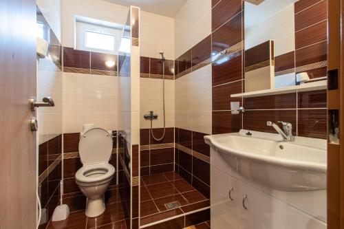 a bathroom with a toilet and a sink at Restaurace penzion Pod Šumárníkem in Tvarožná Lhota