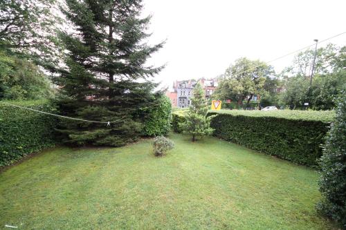a garden with a pine tree and bushes at Avalon Guest House in Leeds