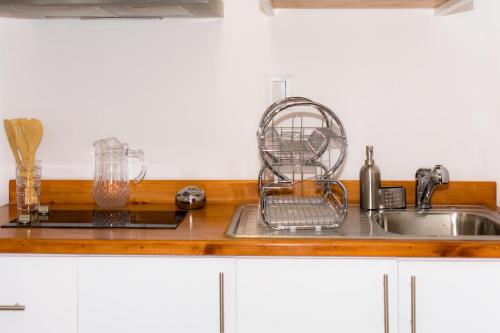 a kitchen counter with a sink and a mixer at Apartments and Rooms Distecon in Guatemala