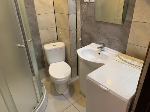 La petite salle de bains est pourvue de toilettes et d'un lavabo. dans l'établissement Apartament Leśne, à Bydgoszcz