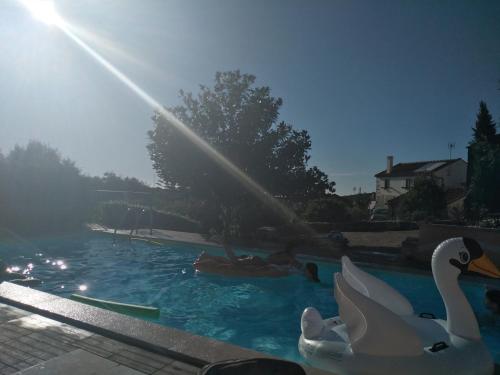 a swimming pool with two swans in the water at Quinta de São João in Poios