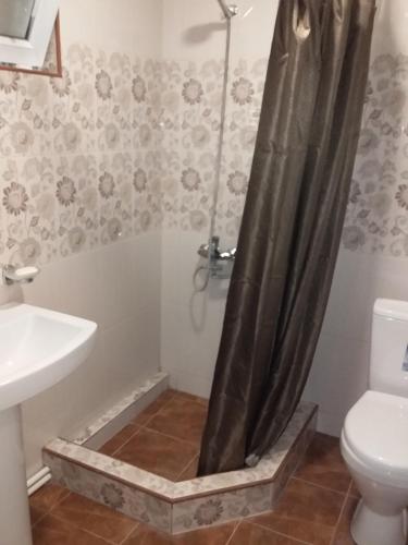 a bathroom with a shower with a sink and a toilet at Guest House Medea in Tʼelavi