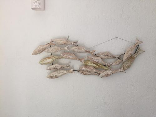 a group of shells hanging on a wall at Alexandra villas in Gouvia
