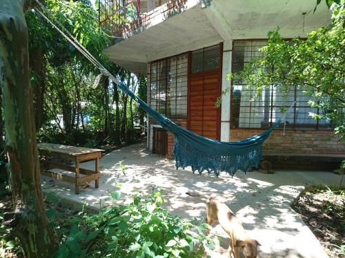 a hammock in front of a house with a dog at Scenario Yguazu in Puerto Iguazú