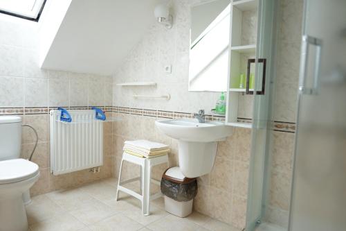 a bathroom with a sink and a toilet at Penzion u lázní in Velké Losiny