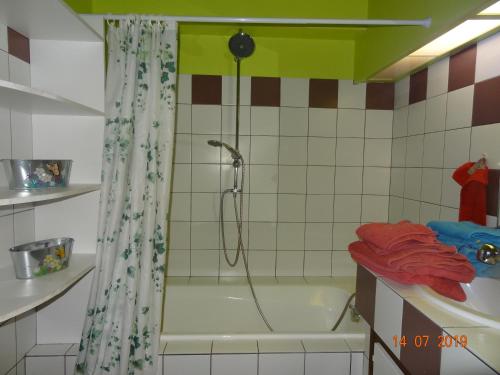 y baño con ducha y bañera. en LE KATZALA en Mulhouse