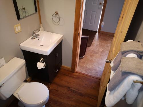 a bathroom with a white toilet and a sink at Overlook Inn & Cabins in Clearwater