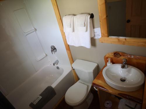a small bathroom with a toilet and a sink at Overlook Inn & Cabins in Clearwater