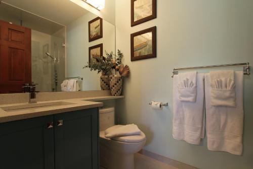a bathroom with a toilet and a sink and a mirror at Lagoons Condos by Whistler Retreats in Whistler