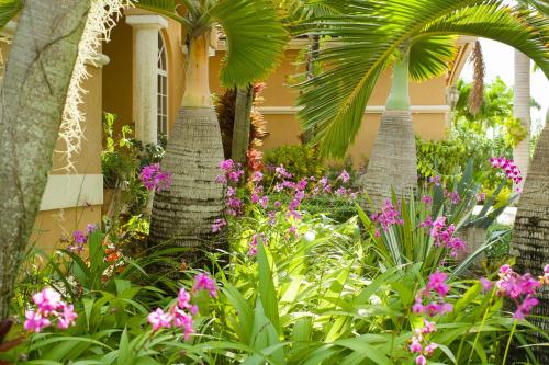 Yuli's Home photo 41