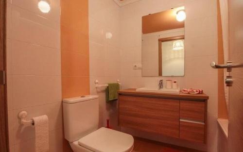 a bathroom with a toilet and a sink and a mirror at Apartamento Covelo in Poio