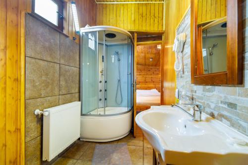 un baño con ducha y lavabo en Casa Ivett, en Brasov
