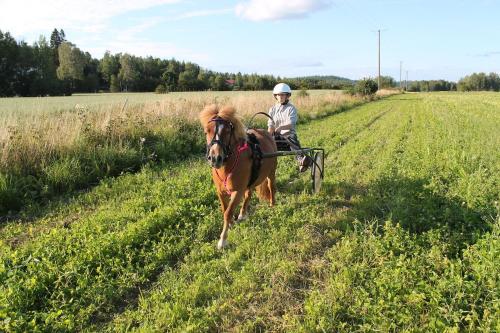 Φωτογραφία από το άλμπουμ του Hostel Lomakivi σε Kausala