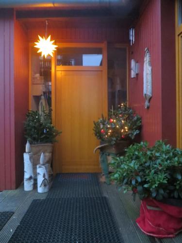 a front door of a house with christmas decorations at Gartenhaus Klotzsche in Dresden
