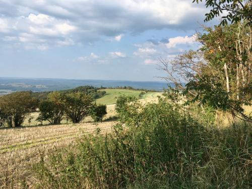 a view of a field with trees on a hill at Pension zum Ritter in Katzhütte