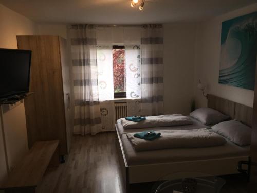 Zimmer mit 2 Betten, einem TV und einem Fenster in der Unterkunft Pension Hesse in Lüdenscheid