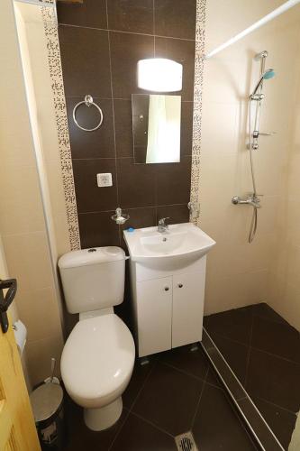 トリャブナにあるСтарата къща - Трявнаの白いトイレと洗面台のあるバスルーム