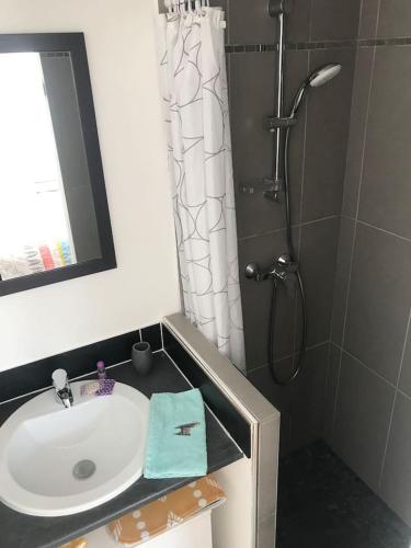 une salle de bain avec un lavabo et une douche dans l'établissement Appartement moderne tout équipé, à Lorient