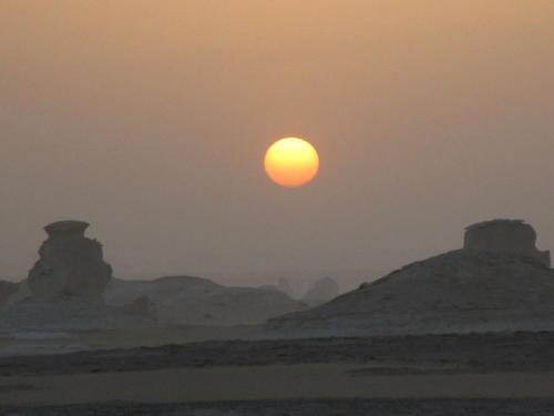 Desert Safari Home – Photos 5