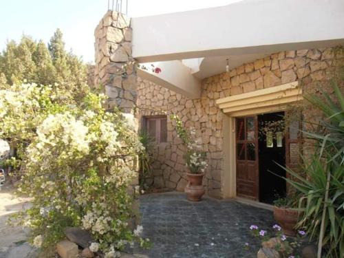 Desert Safari Home – Photos 2