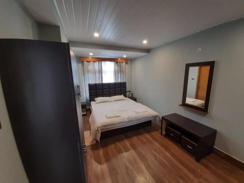 ガントクにあるDenzong Khimのベッドルーム(大型ベッド1台、鏡付)
