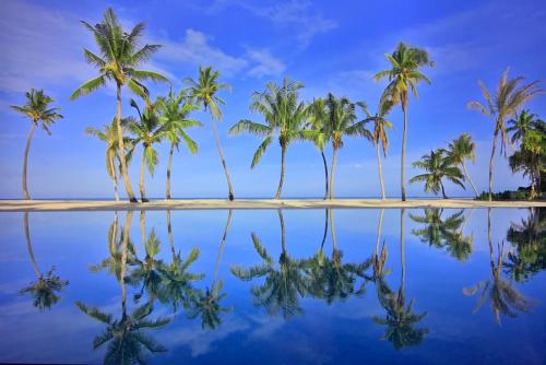 an island with palm trees reflected in the water at Pullman Maldives Maamutaa - All-Inclusive Resort - 50 percent off Transfers in Maamutaa