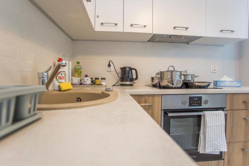 uma cozinha com um lavatório e um fogão em CR Rodzinny Apartament Chrobrego 16 em Bialystok