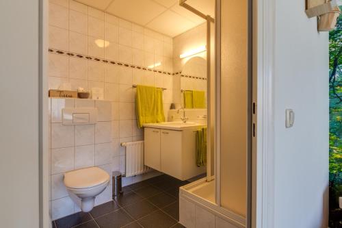 a bathroom with a toilet and a sink at HCR Prinsen in Haarlo