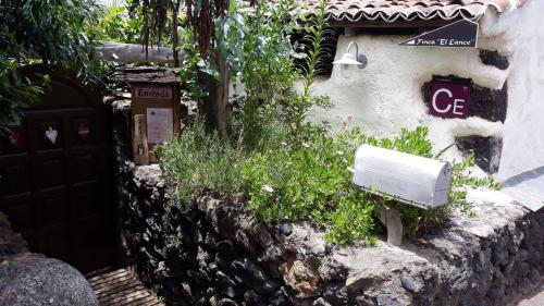 Κήπος έξω από το Finca El Lance