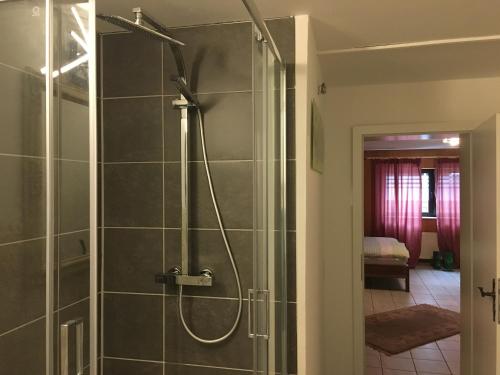 a bathroom with a shower with a glass door at Ferienwohnung-Birlenbach in Birlenbach