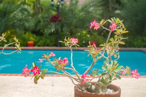 Yuli's Home photo 42