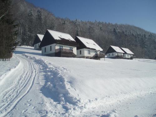 a group of houses in a snow covered field at Green Valley Park in Stárkov