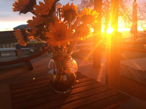 a vase filled with yellow flowers sitting on a table at Moon Ranch - a gateway to Yosemite in Mariposa
