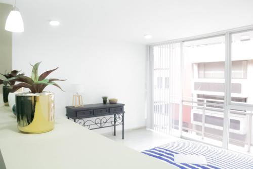 a white room with a potted plant and a window at Privada de Horacio 18 Residences in Mexico City
