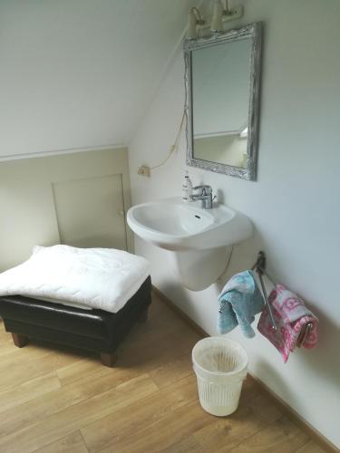 een badkamer met een wastafel en een spiegel bij de Wielen in Schalkhaar