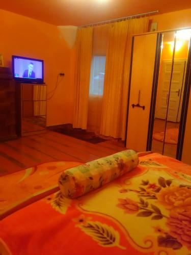 a bamboo stick laying on a bed in a room at CAZARE LA ESPAÑOLA in Haţeg