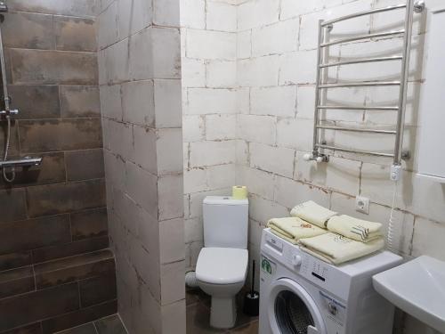 La salle de bains est pourvue de toilettes et d'un lave-linge. dans l'établissement Silver Star Apartment 40b, à Oujhorod