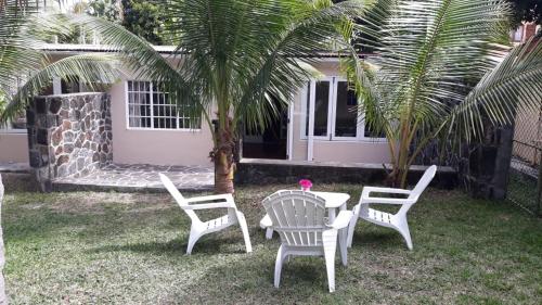 two chairs and a table in front of a palm tree at Whynot Mauritius in Grande Gaube