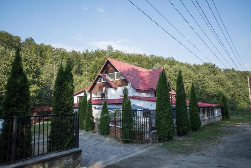 a house with a red roof and a fence at Popas Balea Rau in Cârțișoara