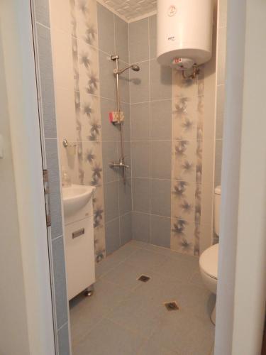 a bathroom with a toilet and a shower at Dunav Apt.2 in Ravda