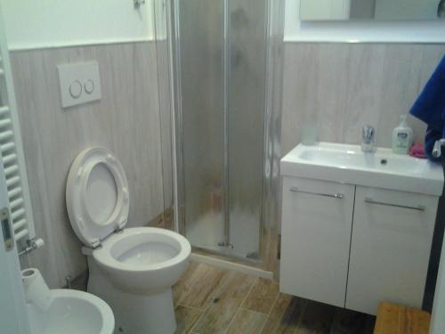 トリノにあるViktoria B&Bのバスルーム(トイレ、シャワー、シンク付)